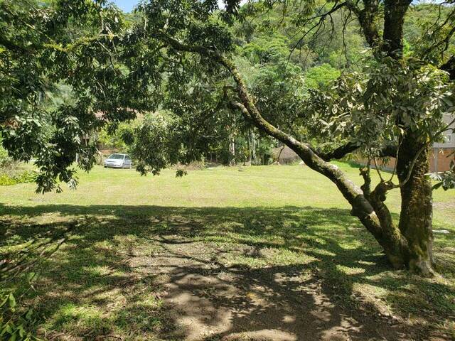 Área para Venda em Itapema - 5
