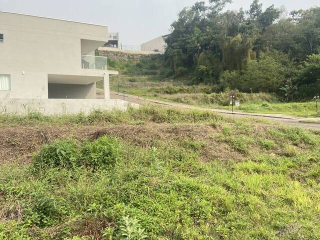 Área para Venda em Blumenau - 5