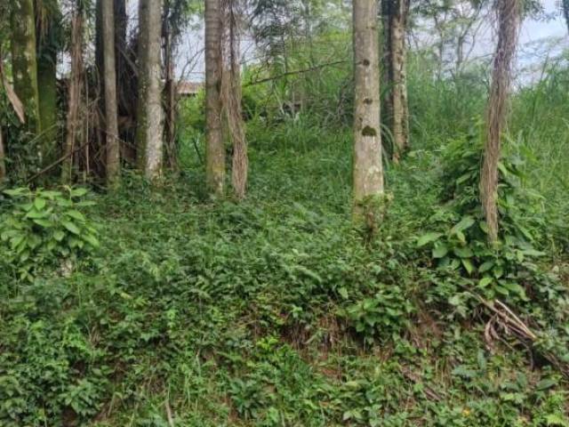 #Te0010 - Área para Venda em Blumenau - SC - 2